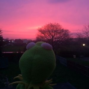 Meet your Posher, Molly